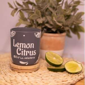 Vela una mecha Lemon Citrus